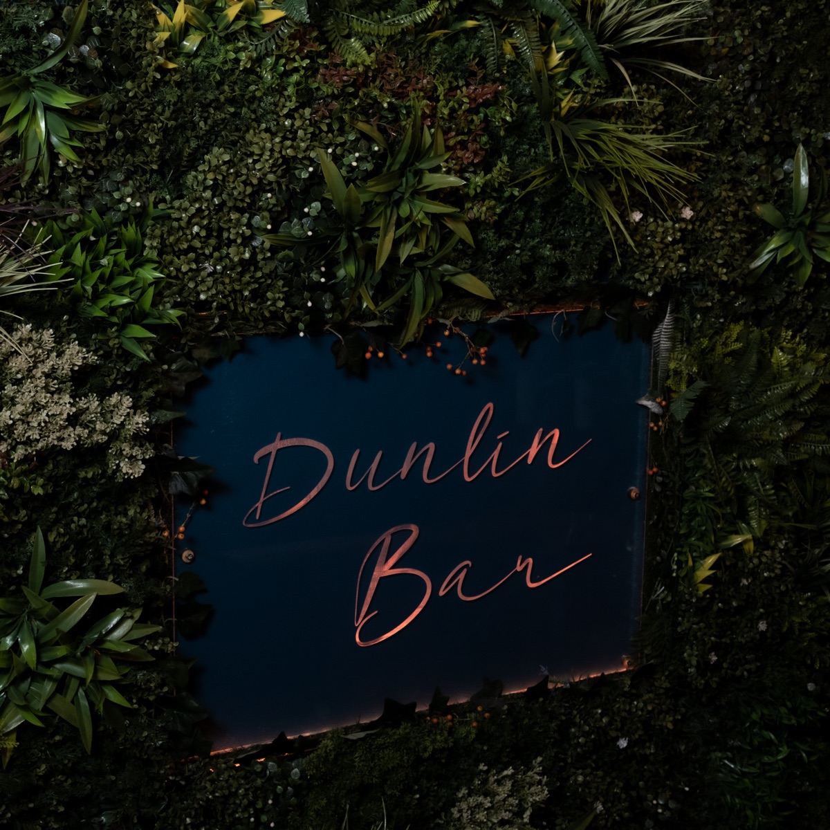 Dunlin Art